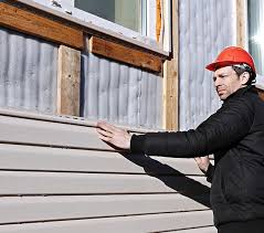 Best Vinyl Siding Installation  in Winnemucca, NV